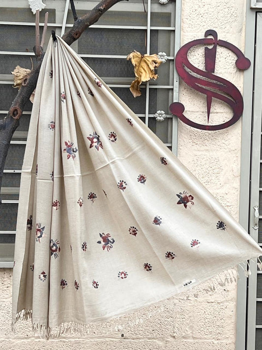 Swati Shawls | Hand Embroidery | HE169